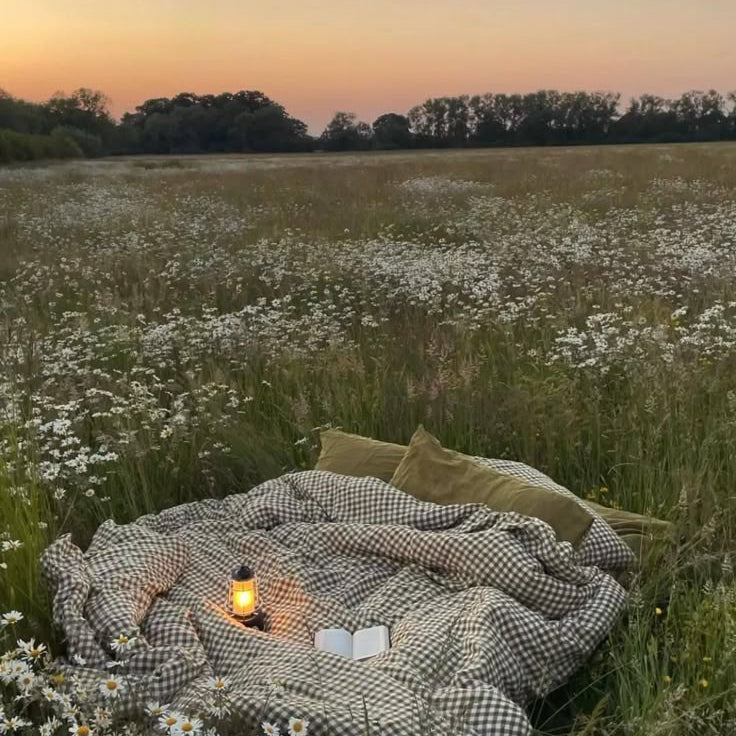 A Soft Place To Land & Relax