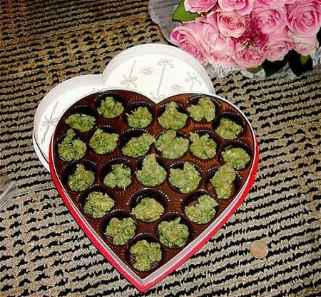 What's Your Stoner Love Language?