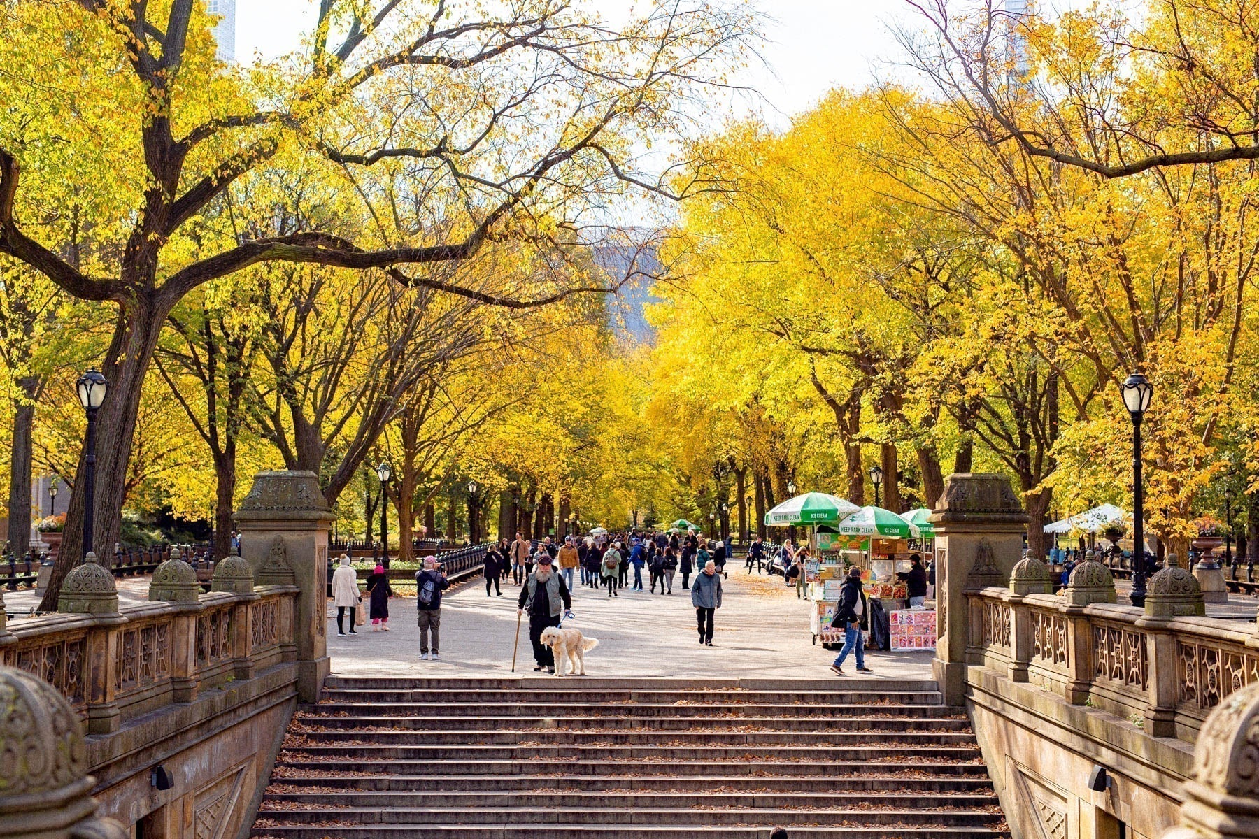 A Fall Afternoon, a Fish Tank Phone Booth in Japan & New York City