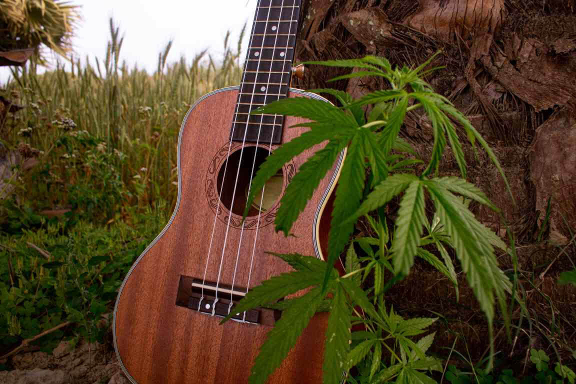 [in] session - stories in the sounds: music and cannabis blog post