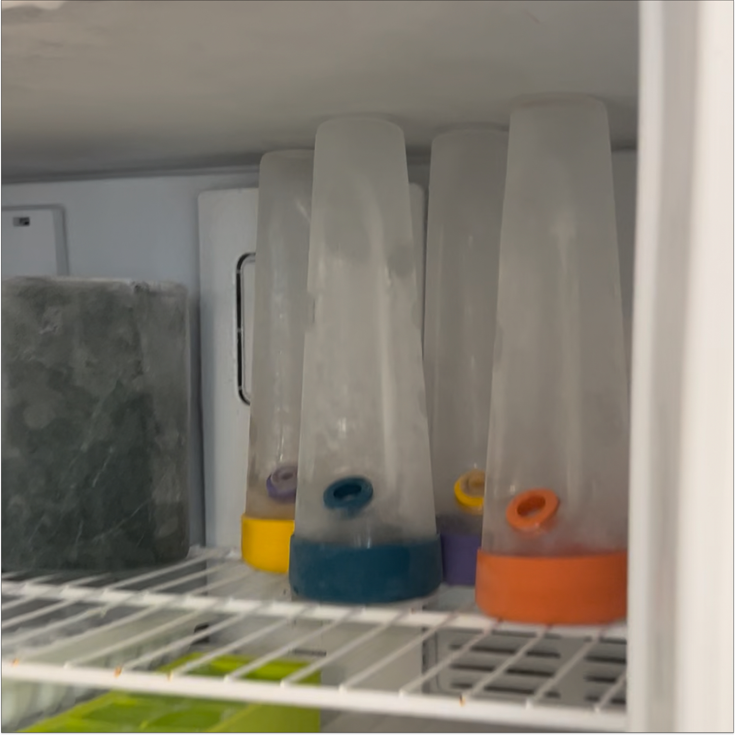 Four clean session bongs in yellow, orange, grey and blue sit in a freezer.
