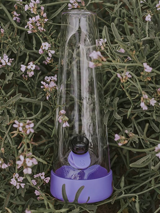 a session goods modern glass water pipe in moonlight colorways laying in a bed of California wild flower