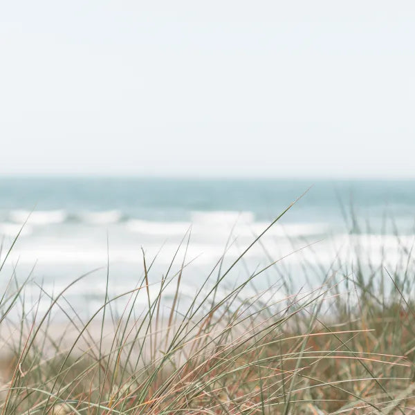 Toker Poker - Glow in the dark