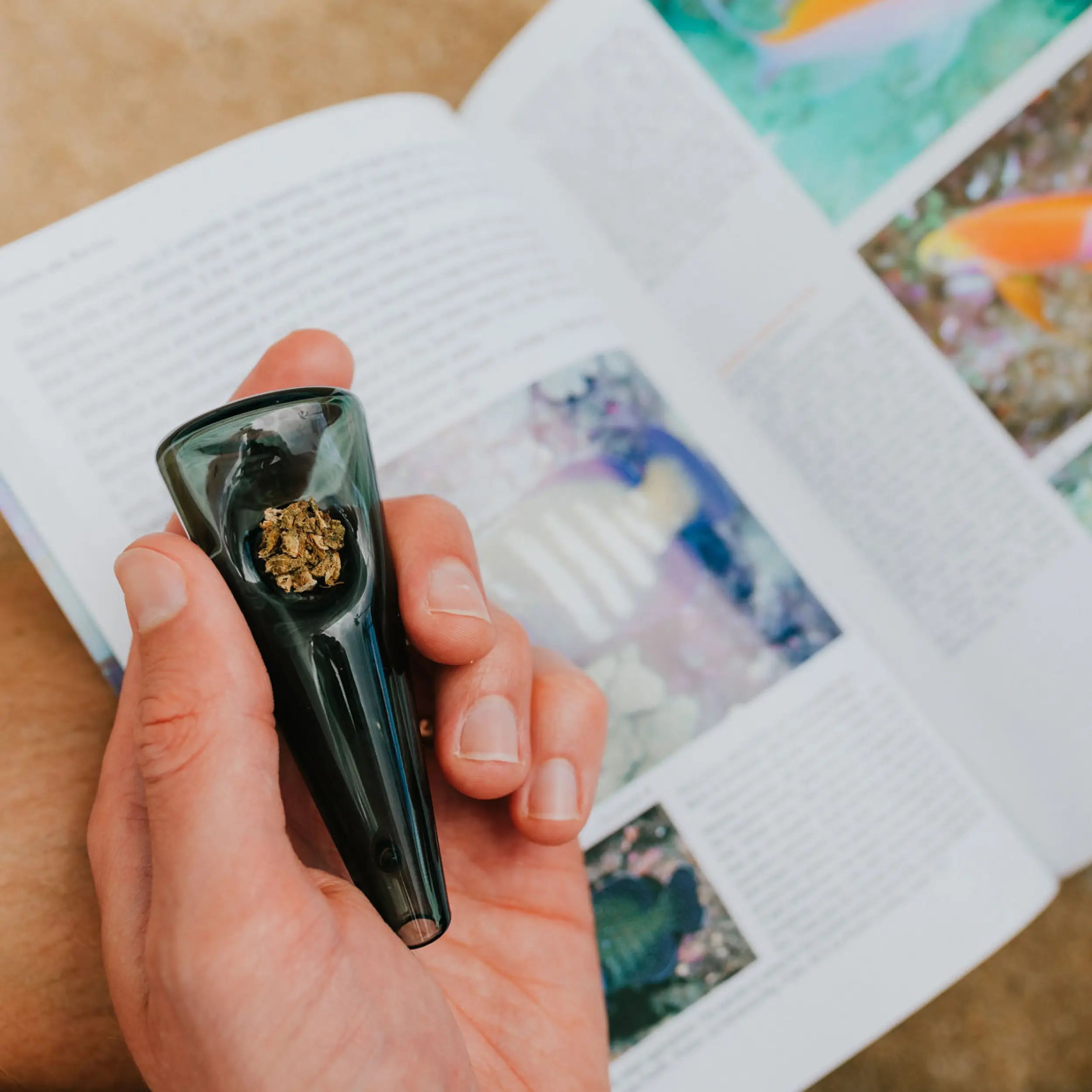 Premium Quality Smoking Pipe in Memory Warm Gray by Session Goods.